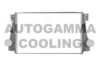 AUTOGAMMA 107506 Intercooler, charger